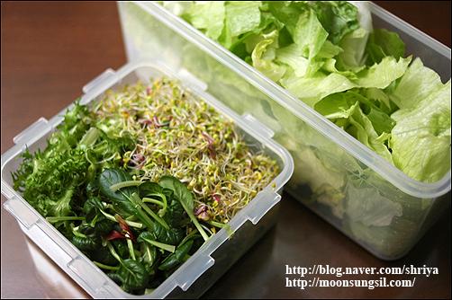 건강의 파수꾼 토마토드레싱샐러드와 토마토스프