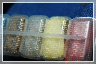 남은 김밥재료 짜투리로 고급초밥을