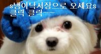 알록달록 어묵속에 채소가 꽈악~