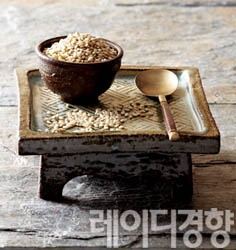 건강한 미래를 위한 유기농 비건(Vegan) 채식 따라잡기