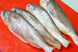 조기조림