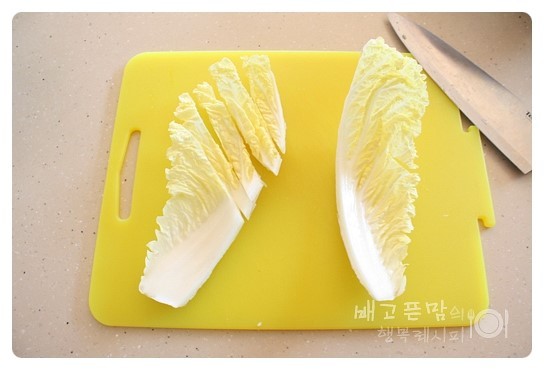 연겨자 이미지